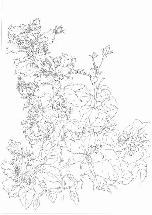 建德刻章
